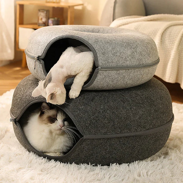 Cat Tunnel